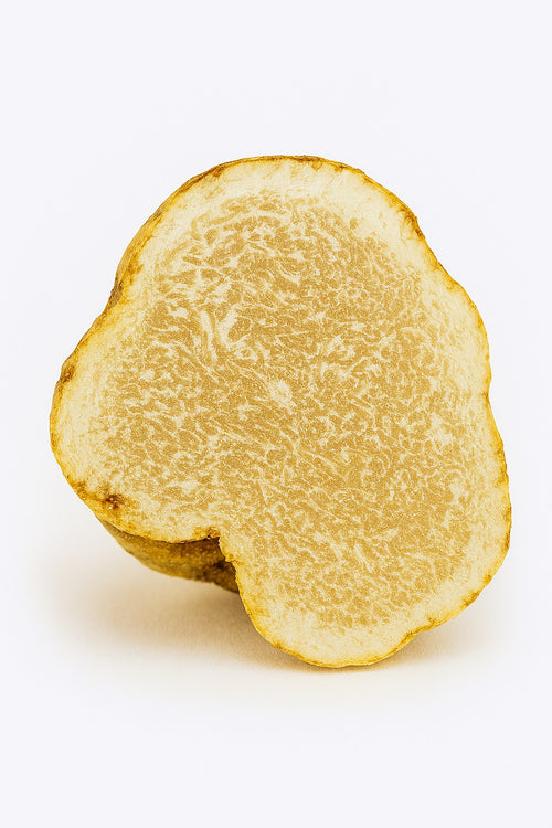 Premium Italian White Truffle